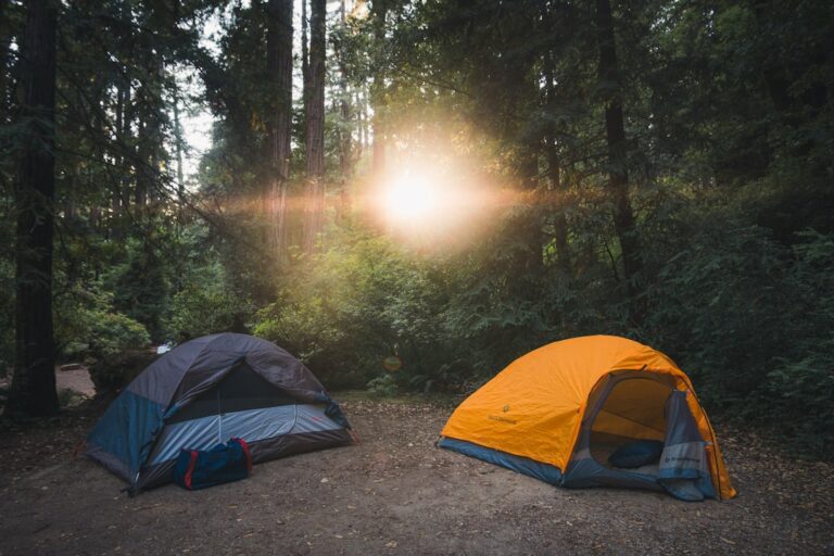 Innovative Camping Gadgets That Will Enhance Your Outdoor Experience