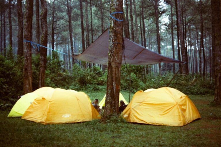 Creating the Ideal Campsite: Gear Recommendations and Layout Ideas